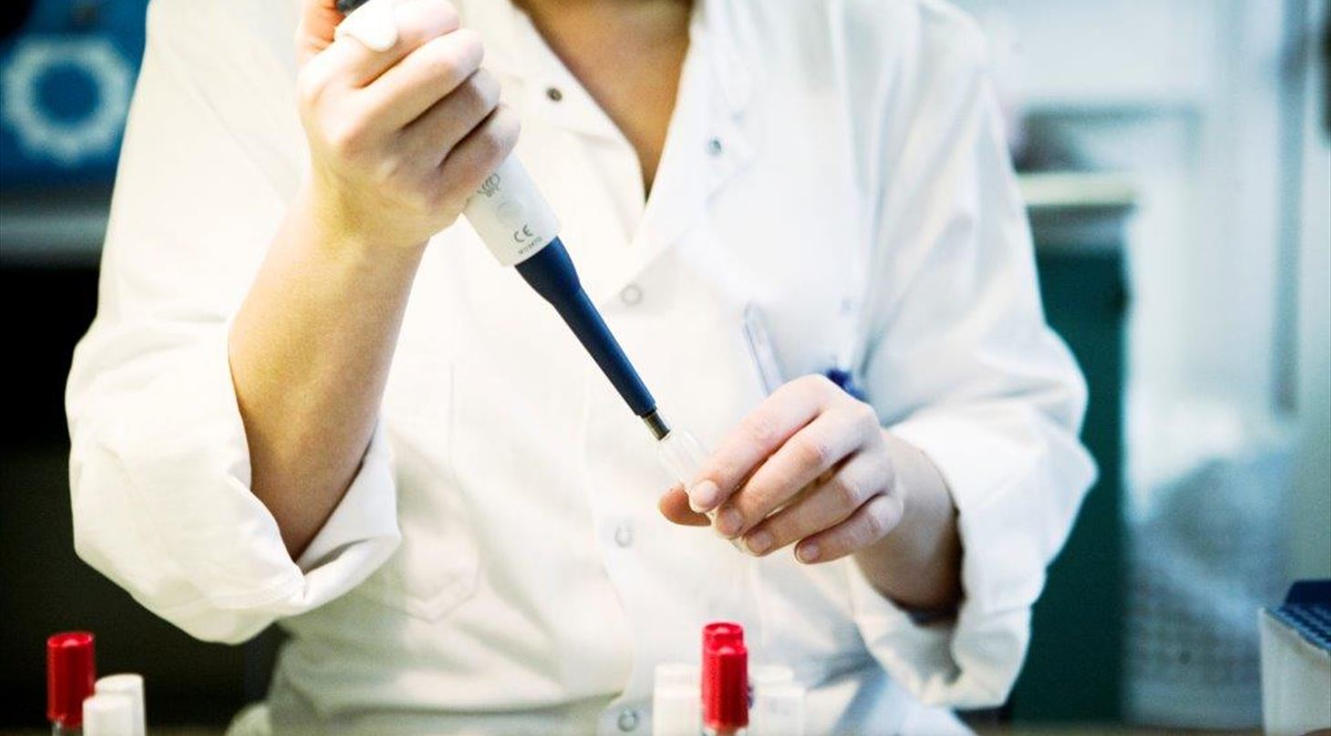 Foto af laboratoriearbejde
